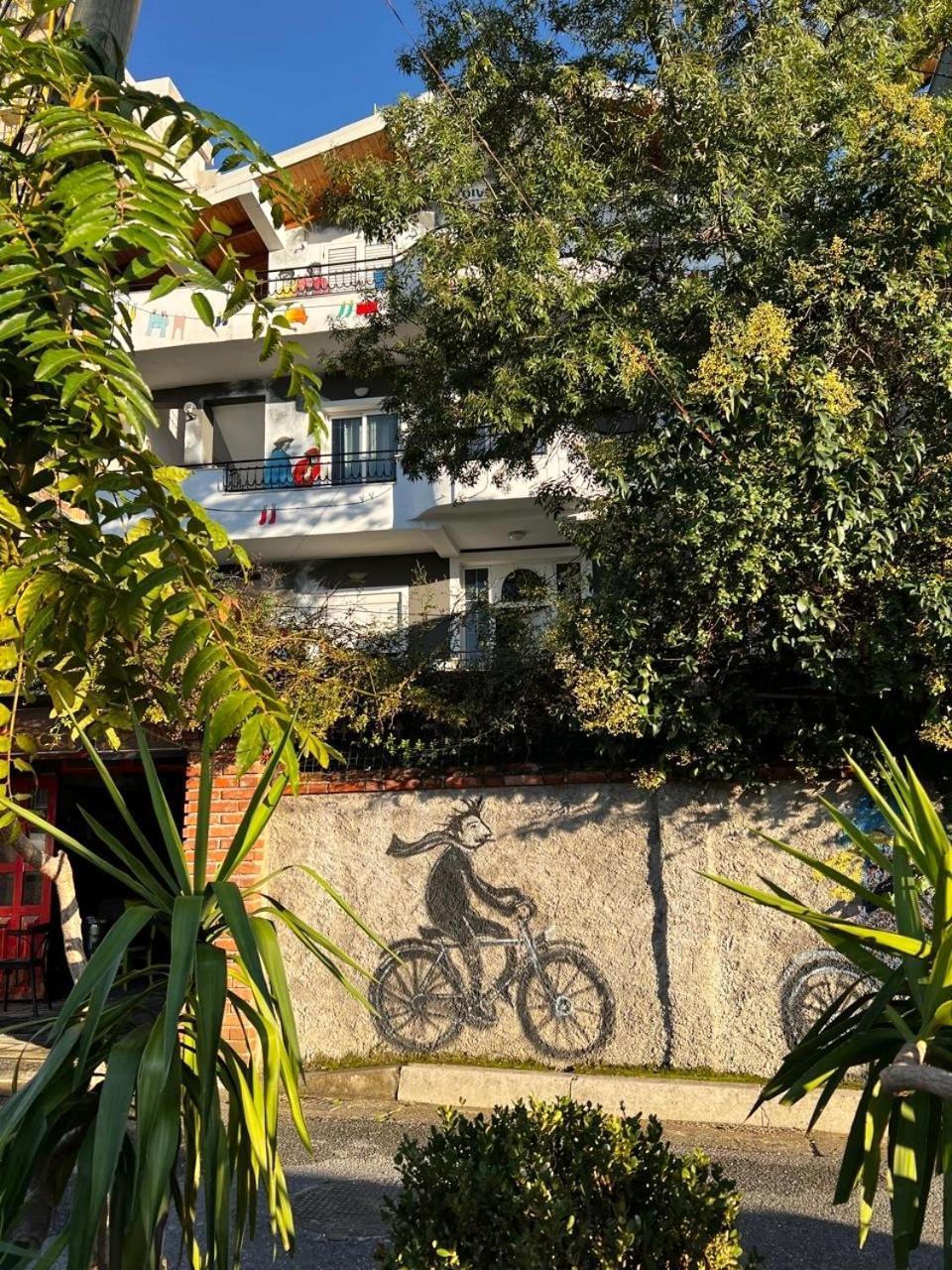 Divina Hostel Tirana Zewnętrze zdjęcie