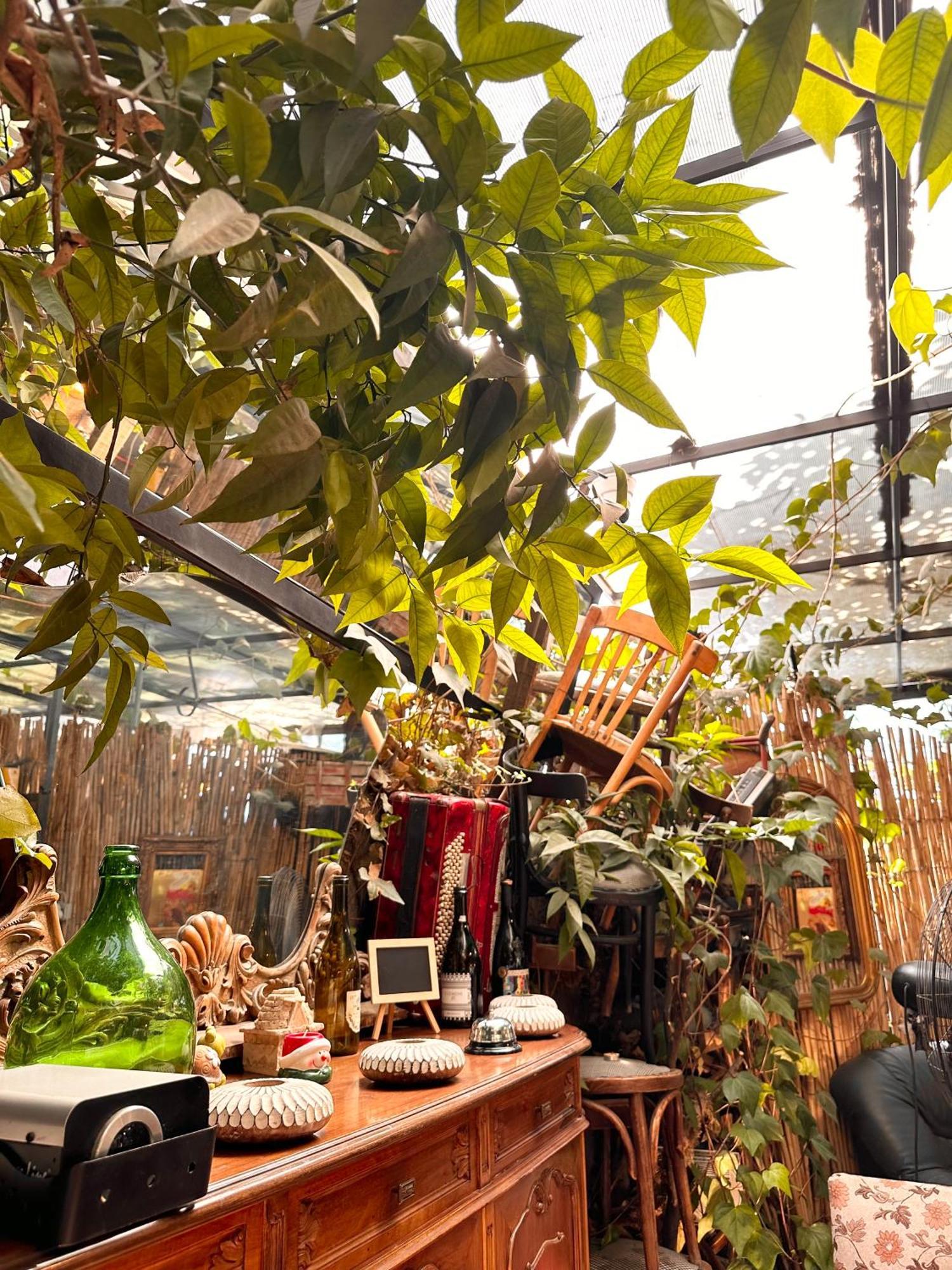 Divina Hostel Tirana Zewnętrze zdjęcie